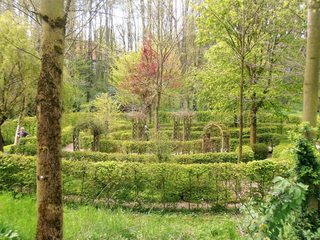 Gasthaus Schadde Vlotho Dış mekan fotoğraf