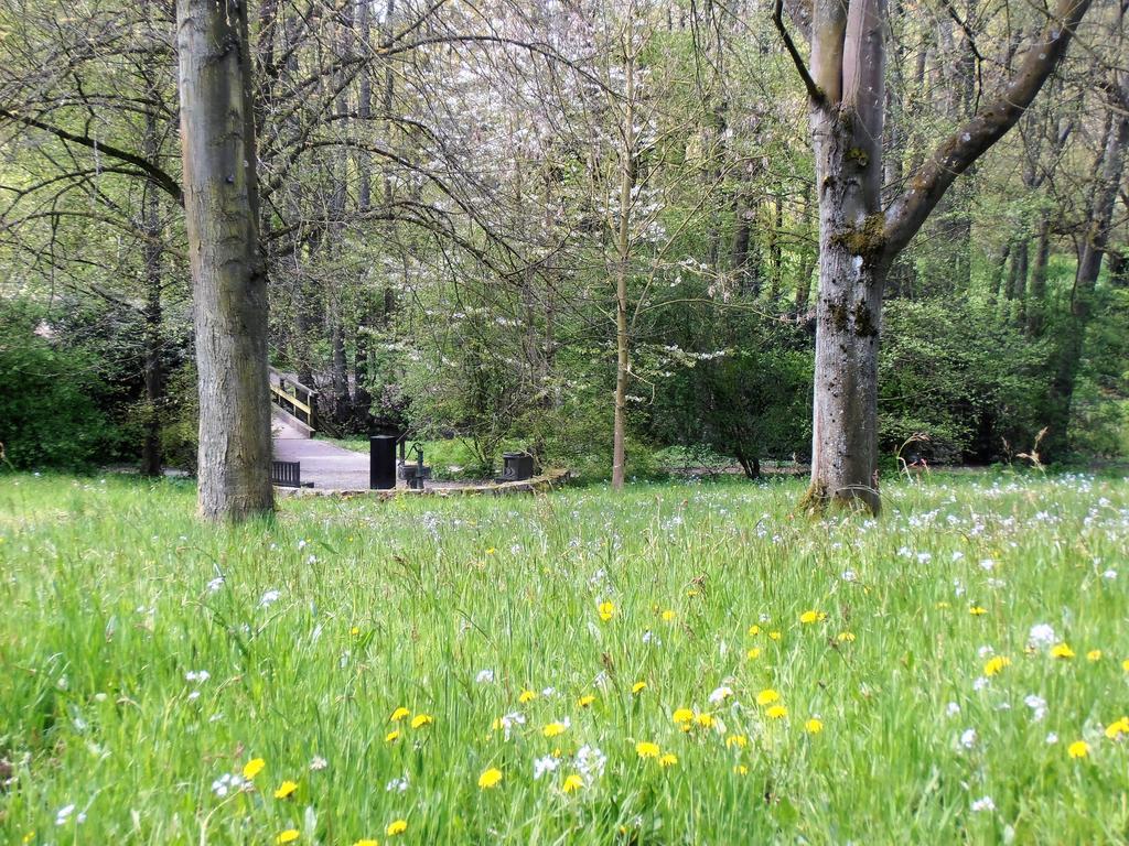 Gasthaus Schadde Vlotho Dış mekan fotoğraf
